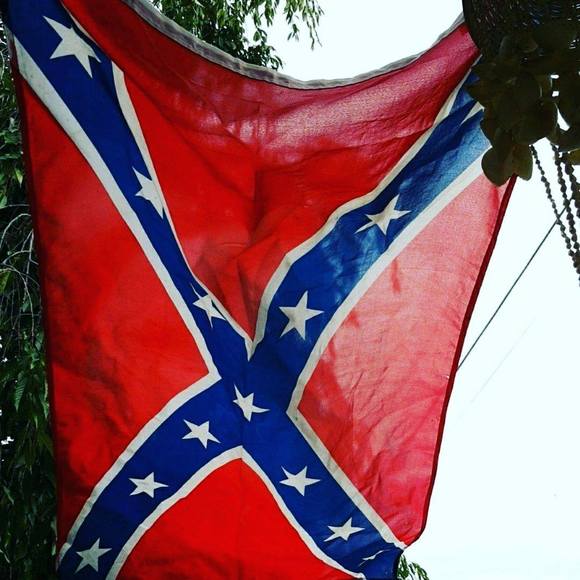 Meet your Posher, Joey - Picture 1 of 1